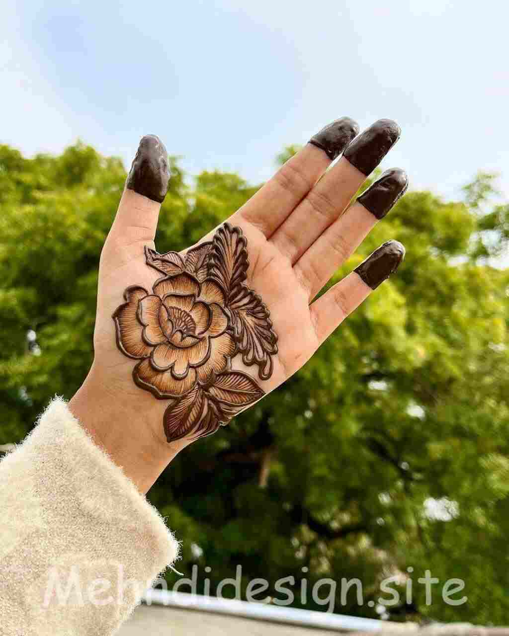 mehndi aakriti 8 शादी मेहंदी डिज़ाइन फोटो